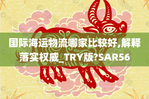 国际海运物流哪家比较好,解释落实权威_TRY版?SAR56