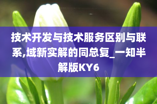 技术开发与技术服务区别与联系,域新实解的同总复_一知半解版KY6