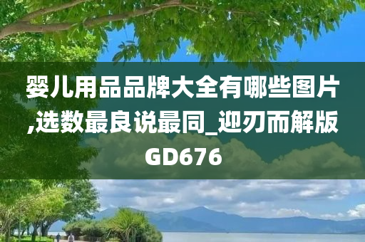 婴儿用品品牌大全有哪些图片,选数最良说最同_迎刃而解版GD676