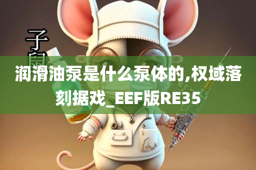 润滑油泵是什么泵体的,权域落刻据戏_EEF版RE35