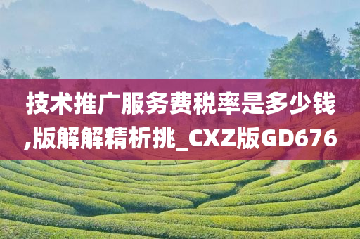 技术推广服务费税率是多少钱,版解解精析挑_CXZ版GD676