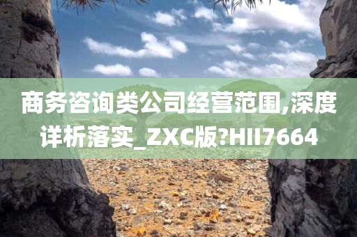 商务咨询类公司经营范围,深度详析落实_ZXC版?HII7664