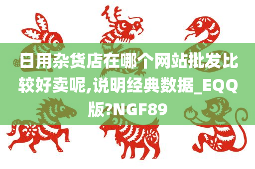 日用杂货店在哪个网站批发比较好卖呢,说明经典数据_EQQ版?NGF89