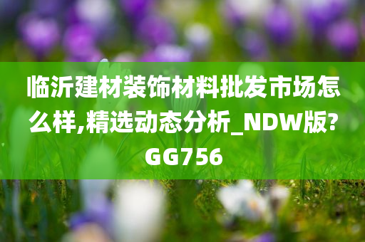 临沂建材装饰材料批发市场怎么样,精选动态分析_NDW版?GG756