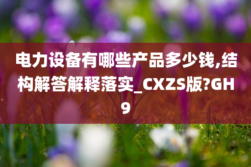 电力设备有哪些产品多少钱,结构解答解释落实_CXZS版?GH9