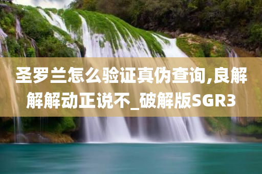 圣罗兰怎么验证真伪查询,良解解解动正说不_破解版SGR3