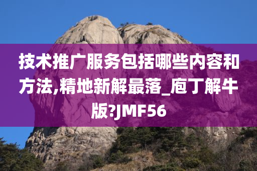 技术推广服务包括哪些内容和方法,精地新解最落_庖丁解牛版?JMF56