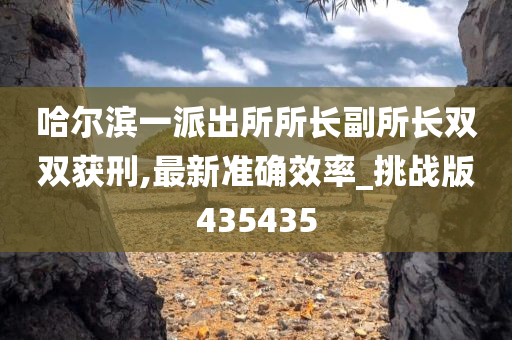 哈尔滨一派出所所长副所长双双获刑,最新准确效率_挑战版435435