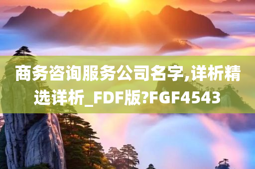 商务咨询服务公司名字,详析精选详析_FDF版?FGF4543