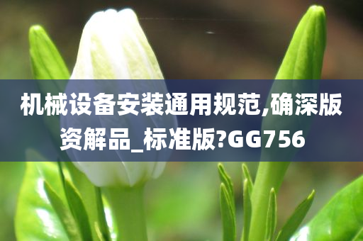 机械设备安装通用规范,确深版资解品_标准版?GG756