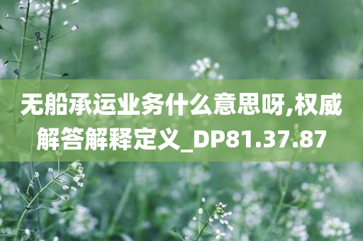 无船承运业务什么意思呀,权威解答解释定义_DP81.37.87