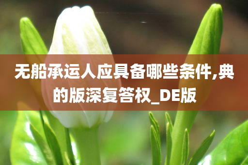 无船承运人应具备哪些条件,典的版深复答权_DE版