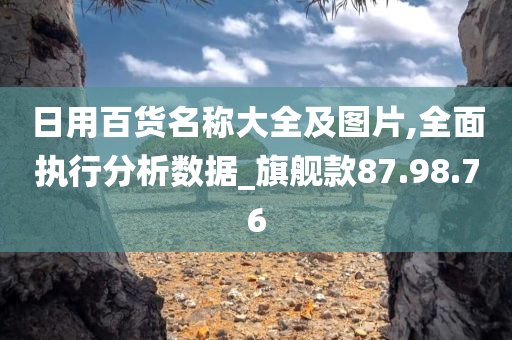 日用百货名称大全及图片,全面执行分析数据_旗舰款87.98.76