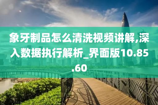 象牙制品怎么清洗视频讲解,深入数据执行解析_界面版10.85.60