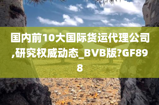 国内前10大国际货运代理公司,研究权威动态_BVB版?GF898