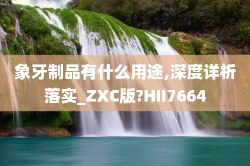 象牙制品有什么用途,深度详析落实_ZXC版?HII7664