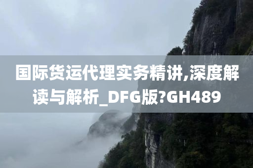 国际货运代理实务精讲,深度解读与解析_DFG版?GH489