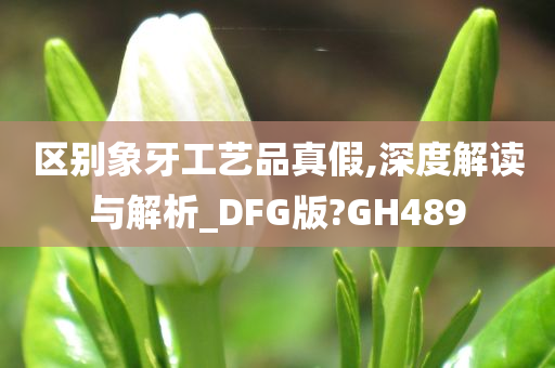 区别象牙工艺品真假,深度解读与解析_DFG版?GH489