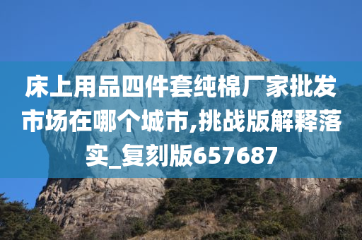 床上用品四件套纯棉厂家批发市场在哪个城市,挑战版解释落实_复刻版657687