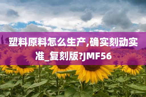 塑料原料怎么生产,确实刻动实准_复刻版?JMF56