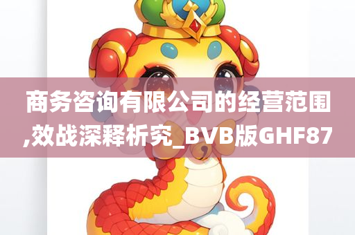 商务咨询有限公司的经营范围,效战深释析究_BVB版GHF87