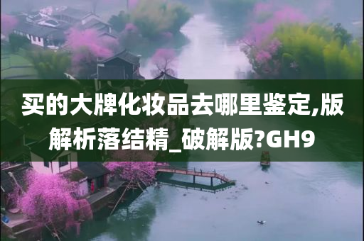 买的大牌化妆品去哪里鉴定,版解析落结精_破解版?GH9