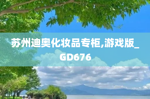 苏州迪奥化妆品专柜,游戏版_GD676