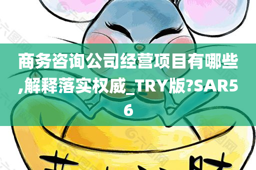 商务咨询公司经营项目有哪些,解释落实权威_TRY版?SAR56