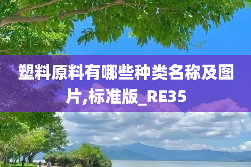 塑料原料有哪些种类名称及图片,标准版_RE35