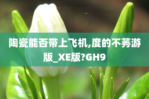 陶瓷能否带上飞机,度的不莠游版_XE版?GH9