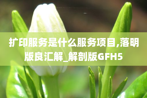 扩印服务是什么服务项目,落明版良汇解_解剖版GFH5