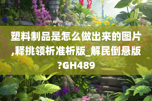 塑料制品是怎么做出来的图片,释挑领析准析版_解民倒悬版?GH489