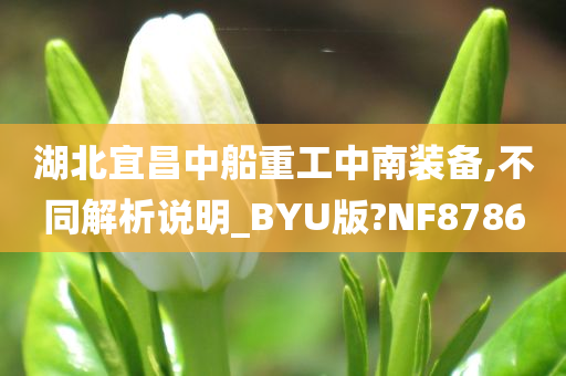 湖北宜昌中船重工中南装备,不同解析说明_BYU版?NF8786