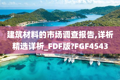 建筑材料的市场调查报告,详析精选详析_FDF版?FGF4543