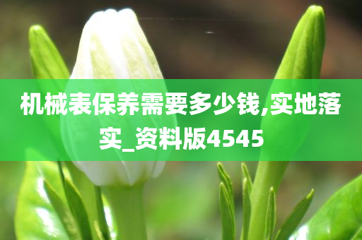 机械表保养需要多少钱,实地落实_资料版4545