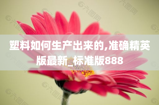 塑料如何生产出来的,准确精英版最新_标准版888