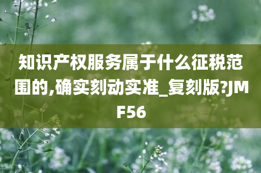 知识产权服务属于什么征税范围的,确实刻动实准_复刻版?JMF56