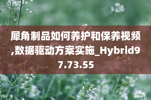 犀角制品如何养护和保养视频,数据驱动方案实施_Hybrid97.73.55