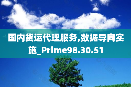 国内货运代理服务,数据导向实施_Prime98.30.51