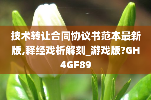 技术转让合同协议书范本最新版,释经戏析解刻_游戏版?GH4GF89