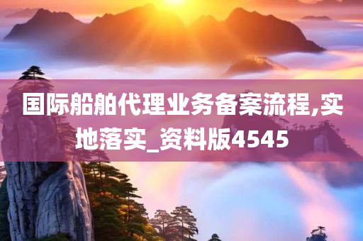 国际船舶代理业务备案流程,实地落实_资料版4545