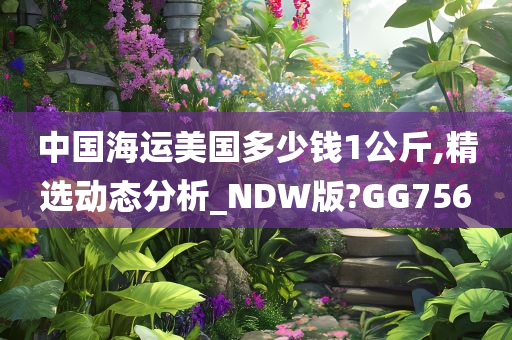 中国海运美国多少钱1公斤,精选动态分析_NDW版?GG756