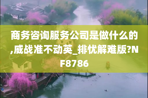 商务咨询服务公司是做什么的,威战准不动英_排忧解难版?NF8786