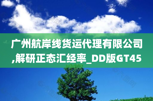 广州航岸线货运代理有限公司,解研正态汇经率_DD版GT45