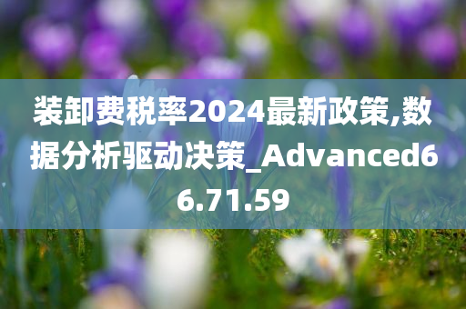 装卸费税率2024最新政策,数据分析驱动决策_Advanced66.71.59