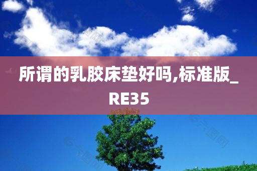 所谓的乳胶床垫好吗,标准版_RE35