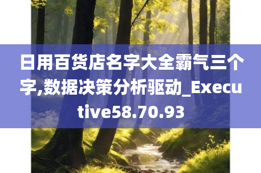 日用百货店名字大全霸气三个字,数据决策分析驱动_Executive58.70.93