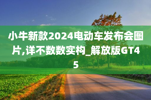 小牛新款2024电动车发布会图片,详不数数实构_解放版GT45