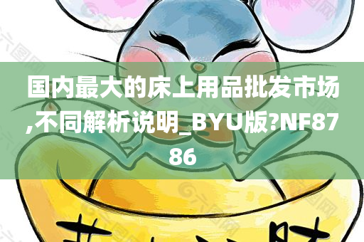 国内最大的床上用品批发市场,不同解析说明_BYU版?NF8786