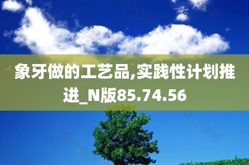 象牙做的工艺品,实践性计划推进_N版85.74.56